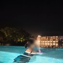 에코랜드 골프호텔 | 제주 에코랜드호텔 슈페리어킹 수영장 내돈내산 솔직후기