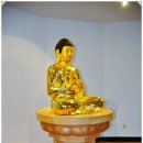 진행정사 이미지