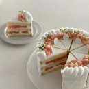 모도리 케이크 이미지