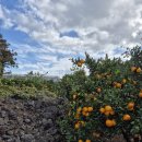 녹산2농장 이미지