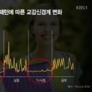 스마트미디어랩