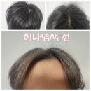 THESUJATA, 수자타헤나 천연 염색약 가루 사용후기