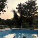 도그버디 이미지