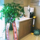 서울이다움치과 | 망우동치과 서울이다움치과 다녀온 후기