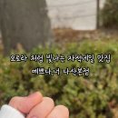 예쁘다너 네이버블로그