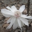 개화농장 이미지