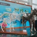 홍천향토사료관 이미지