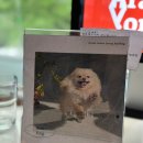 삼방프라자 | 범계역술집 아라리용 안양 애견동반가능한 안주맛집