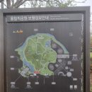 백제학연구소 | 올림픽공원 실시간 겹벚꽃 스팟 가는길 4월19일자
