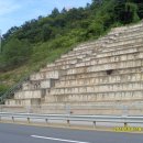 삼마치주유소 Daum카페