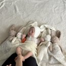 11500-13-50-09 | [더 베일리 스튜디오] 올리비움 산후조리원 연계 | 만삭사진, 50일 촬영 및 계약 후기📸