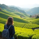 호텔 다향 - B | 2026 보성 녹차밭 여행 코스 🌿 4월 국내여행 총정리