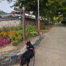 미추홀공원(누각 옆) | 인천 월미공원 반려견 동반 산책 가을 가족 나들이 코스 추천