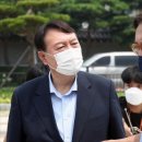 돌고래사과 이미지