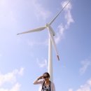 메밀목장 이미지