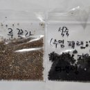 키맘 이미지