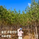 왕피천힐링팜 | 울진가볼만한곳 울진치유관광 왕피천생태경관탐방로 금강소나무숲길 불영사