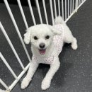 멍스가든