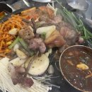 백금돈