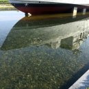 해군2함대사령부/해군회관 | 평택 가볼만한곳 천안함 피격사건 연평해전 서해수호관 안보 견학 신청 일정