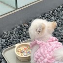 서원안길