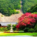 상리길(풍산읍) 이미지