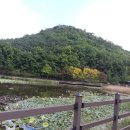 청명원
