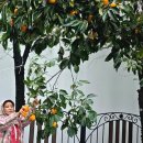 한신아파트경로당 이미지