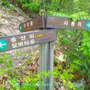 데크 조망점 이미지