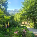 공지숲매점 이미지