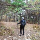 용산-203 이미지