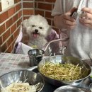 미미네집 이미지