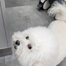 석곡리 1842 이미지
