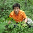 한일농장 이미지