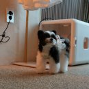 홍천감성공간 이미지