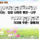 담장너머로뻗은나무