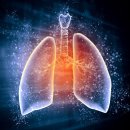 팜 휘트니스 이미지