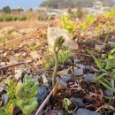 창선생활체육공원 이미지