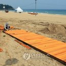 삼척해수욕장C 연합뉴스