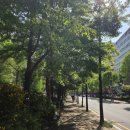 강동-길동-135 이미지