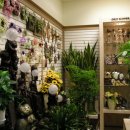 우리화원 이미지