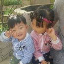 마망 엘리펀트 이미지