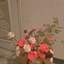 행복을주는꽃 이미지