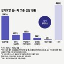 김순심 | "딸보다 낫네" 딱 달라붙어 척척...홀몸 어르신 버팀목 된 요양보호사