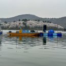 힐링낚시터 | 초평낚시터 태공좌대 좌대낚시터 감성 가득한 힐링 후기