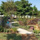 안산 화랑유원지 이미지