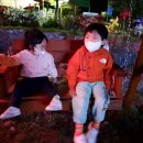 테하스랜드 글램핑장 이미지