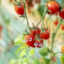 신진섭농장 이미지