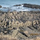 양남주상절리 이미지