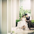 스튜디오미니테일 이미지